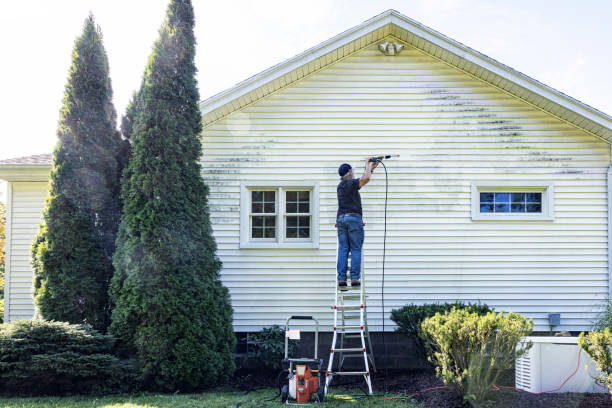 Best Residential House Exterior Washing  in Carlisle, IA